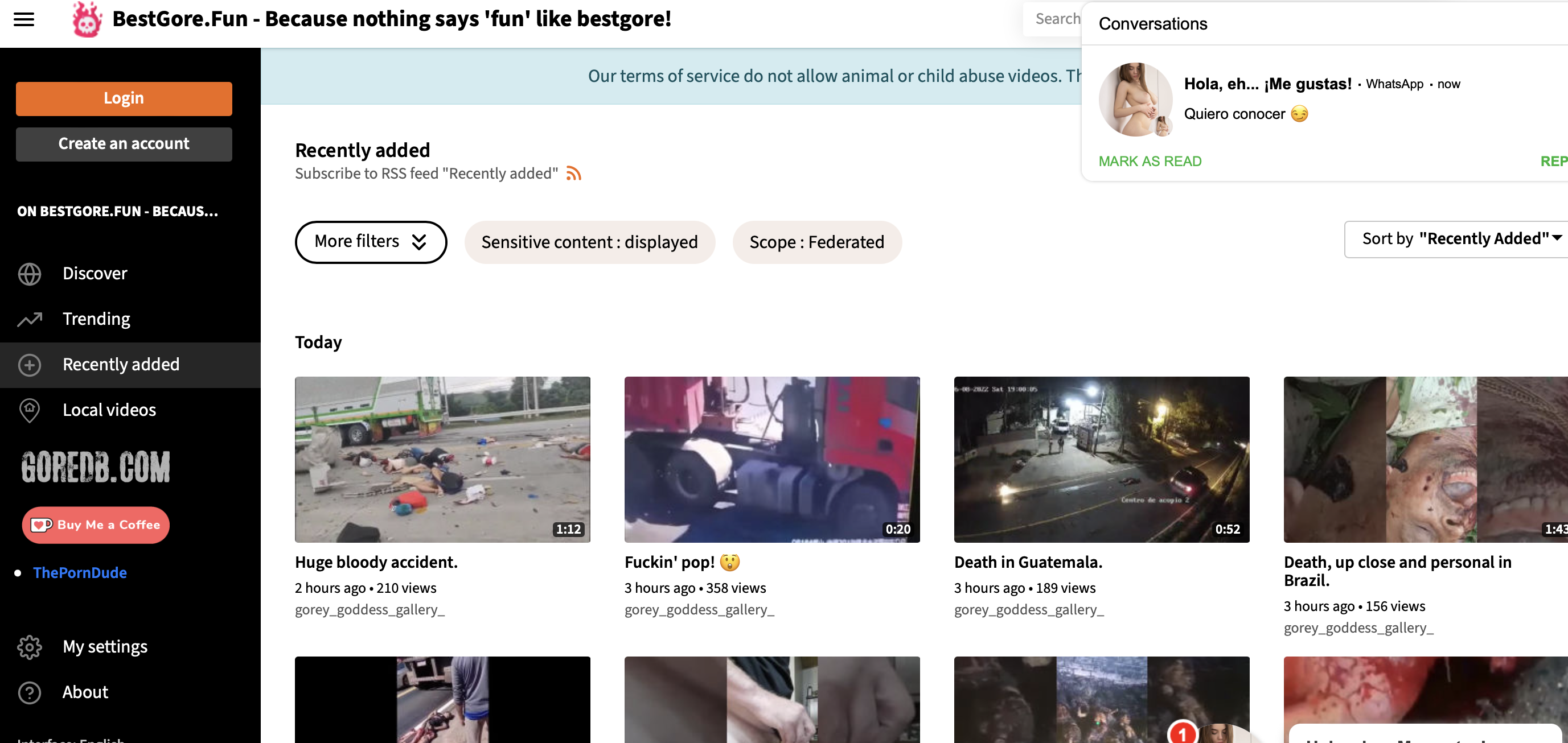 Best gore similar websites